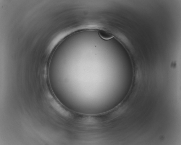X0000113361420200909221148