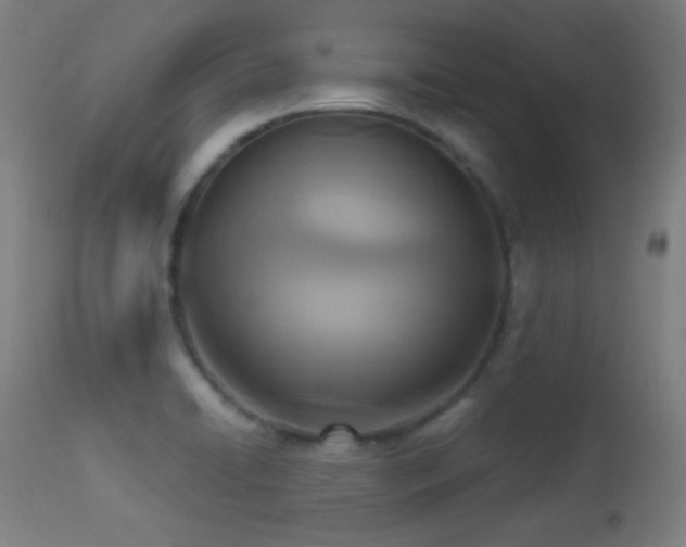 X0000113361422200909221148