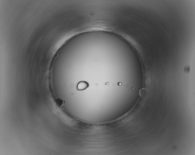 X0000113361423200909221148