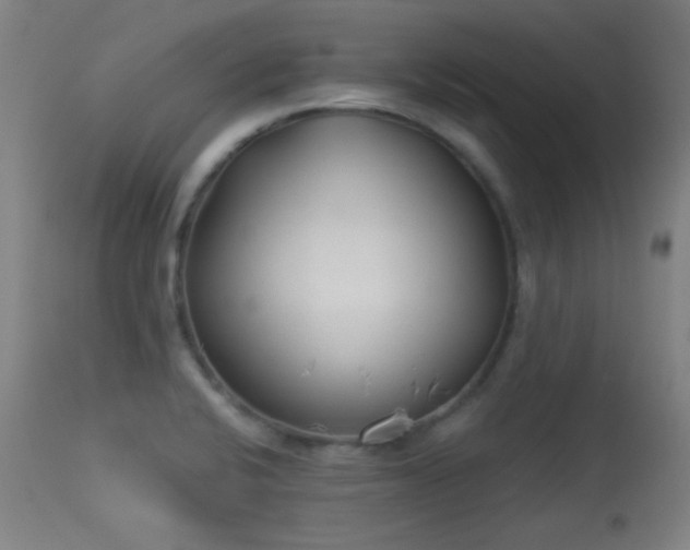 X0000113361424200909221148