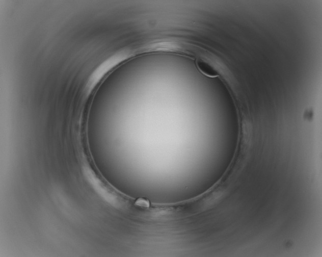 X0000113361426200909221148