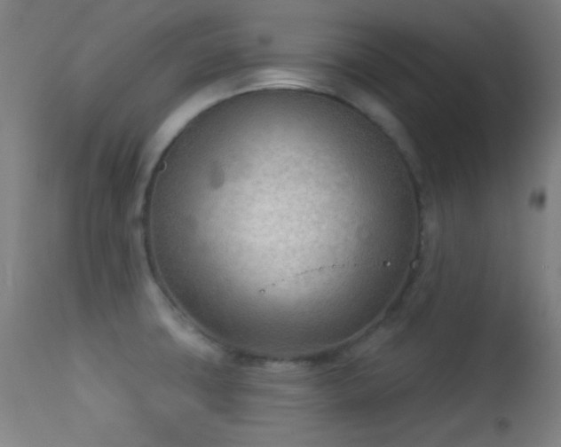 X0000113361427200909221148