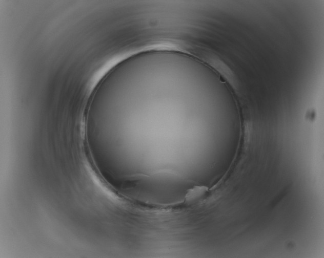 X0000113361428200909221148