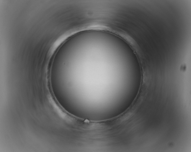 X0000113361430200909221148