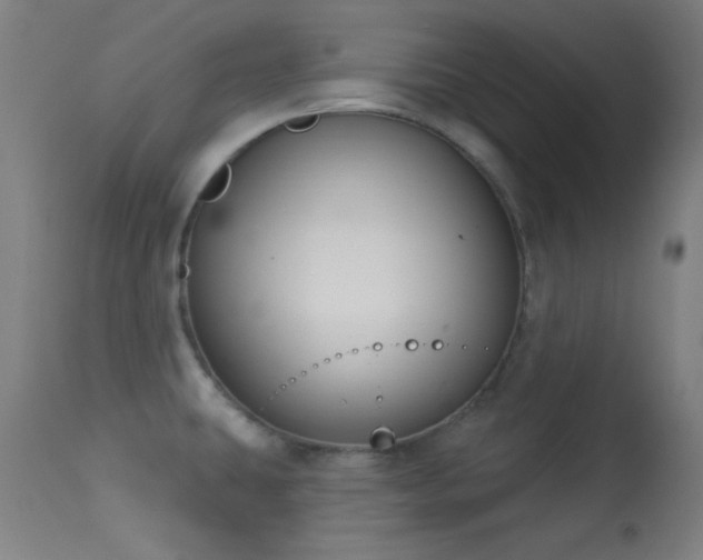 X0000113361431200909221148