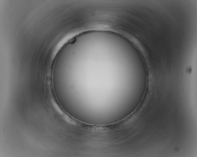 X0000113361432200909221148