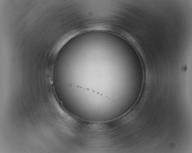 X0000113361433200909221148