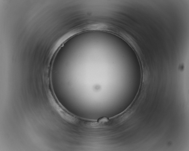 X0000113361434200909221148