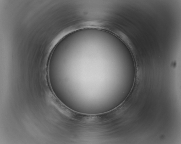 X0000113361435200909221148