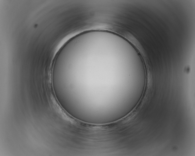 X0000113361436200909221148