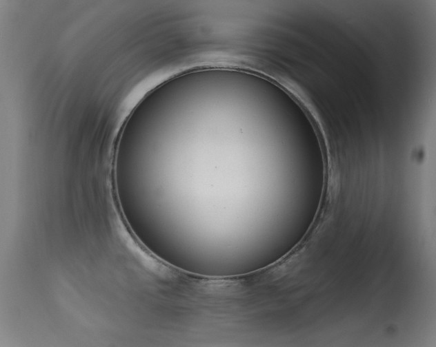 X0000113361437200909221148