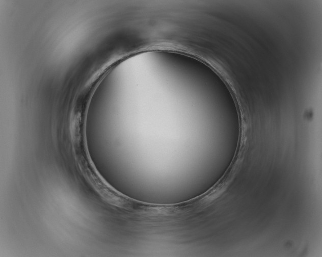 X0000113361438200909221148