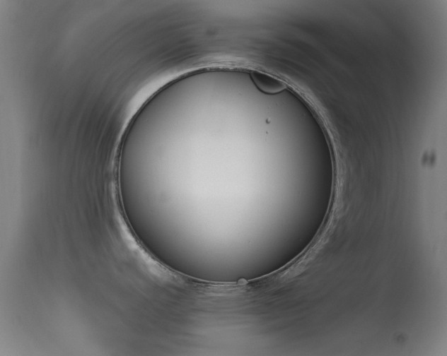 X0000113361440200909221148