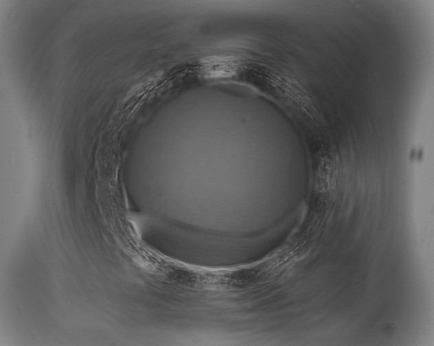 X0000113361441200909221147