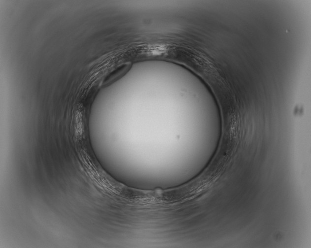 X0000113361442200909221147