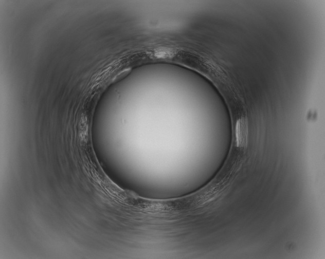 X0000113361443200909221147