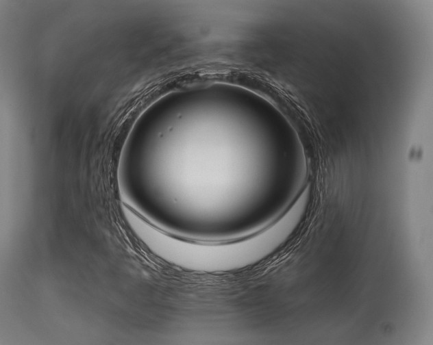 X0000113361445200909221147