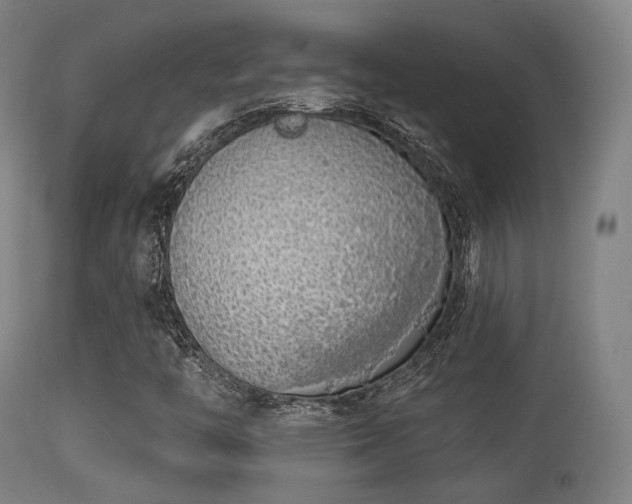 X0000113361446200909221147