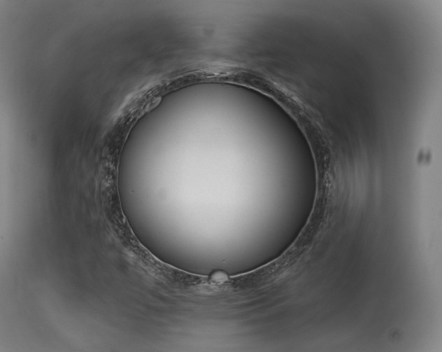 X0000113361447200909221147