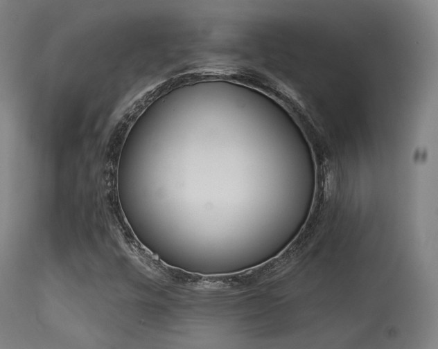 X0000113361448200909221147