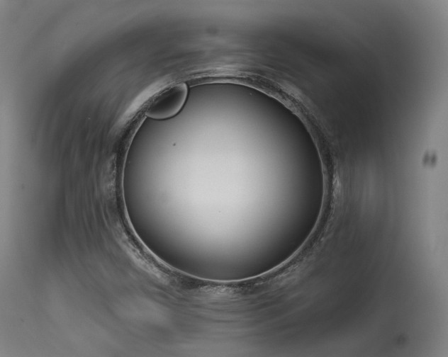 X0000113361450200909221147
