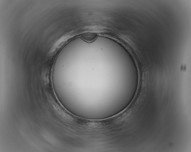 X0000113361451200909221147