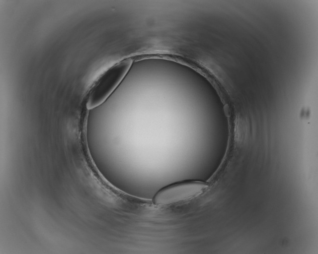 X0000113361452200909221147