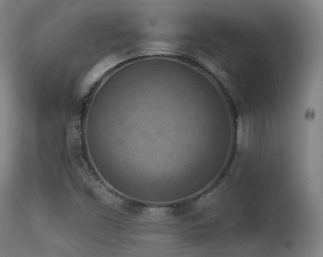 X0000113361453200909221147