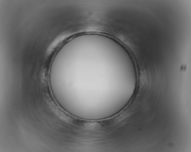 X0000113361454200909221147