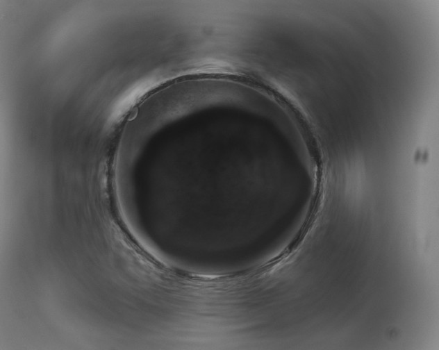 X0000113361455200909221147