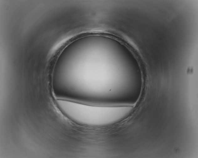 X0000113361456200909221147