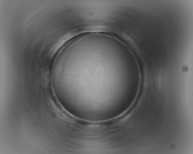 X0000113361457200909221147