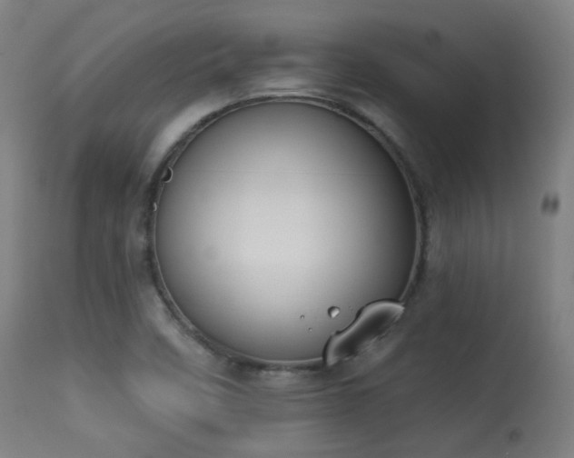 X0000113361458200909221147