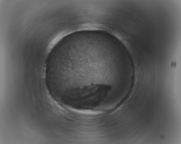 X0000113361459200909221147
