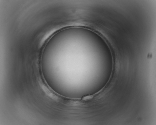 X0000113361460200909221147
