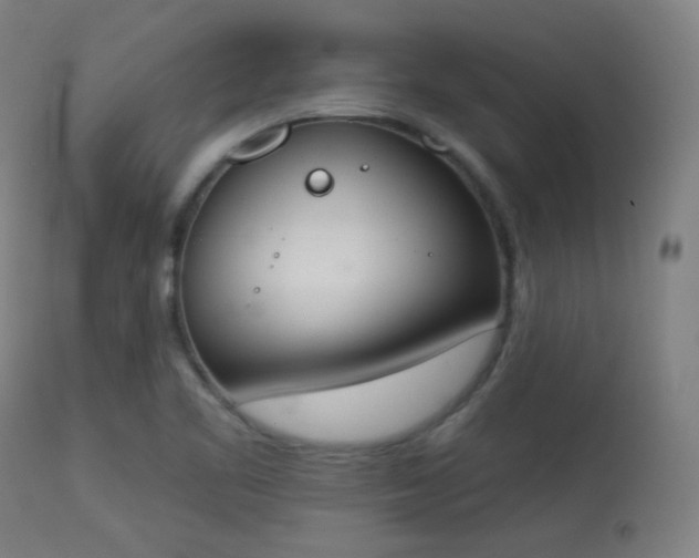 X0000113361461200909221147