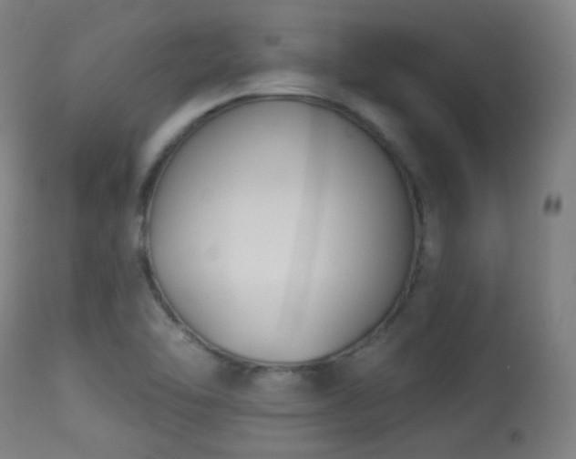 X0000113361462200909221147