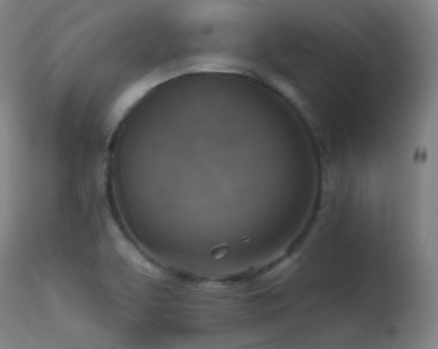 X0000113361463200909221147