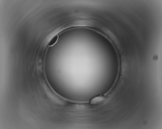 X0000113361465200909221147