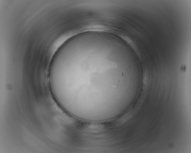 X0000113361466200909221147