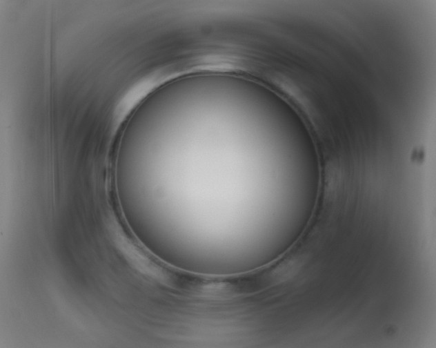 X0000113361467200909221147