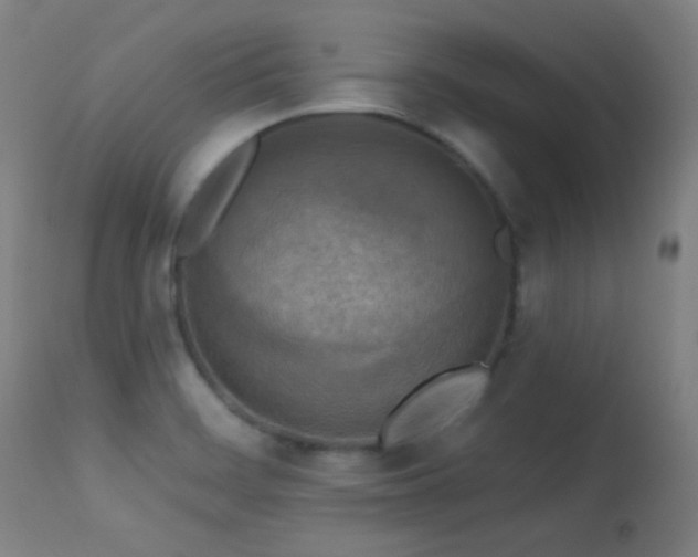 X0000113361468200909221147