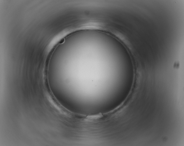 X0000113361469200909221147