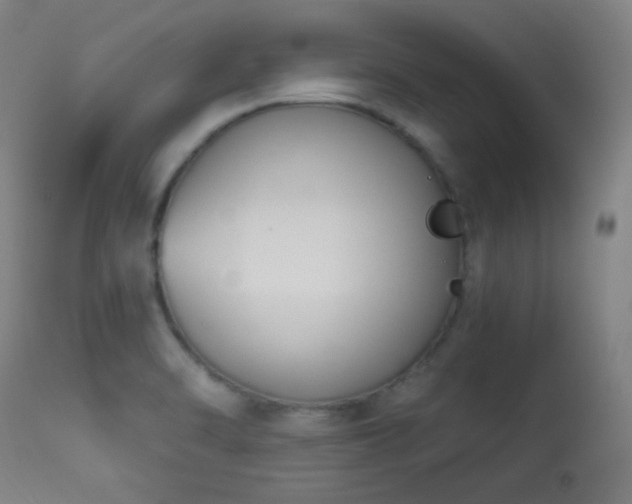 X0000113361470200909221147