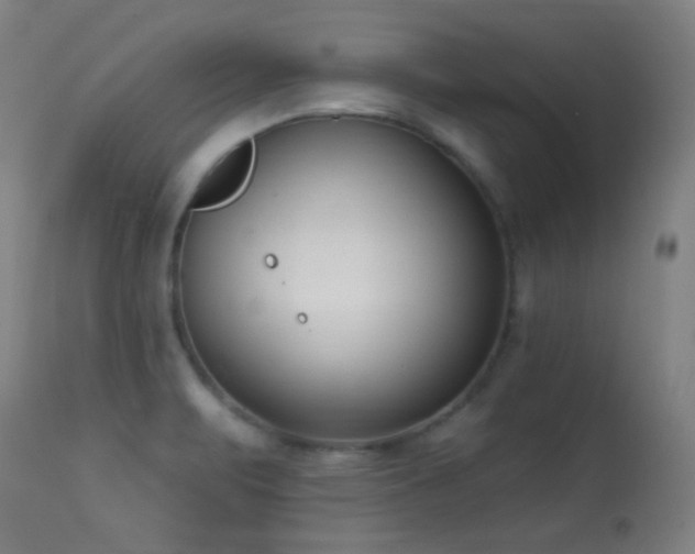 X0000113361471200909221147