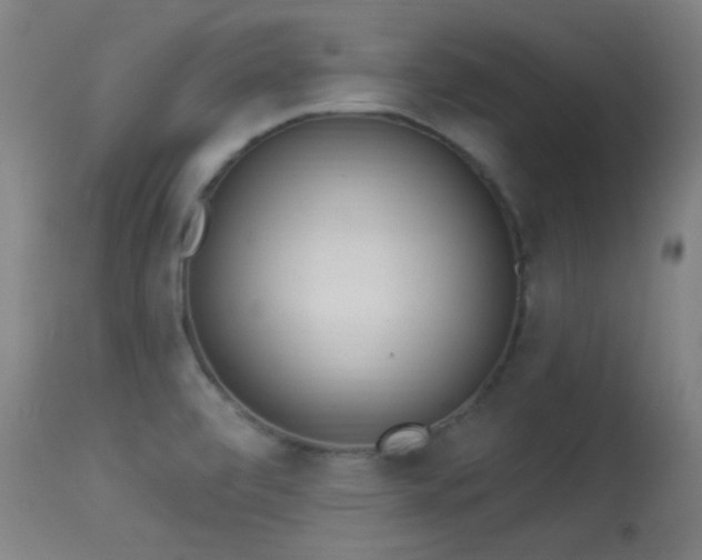 X0000113361472200909221147