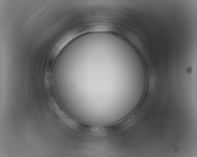 X0000113361473200909221147