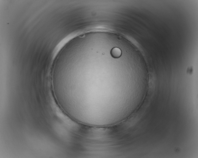 X0000113361474200909221147