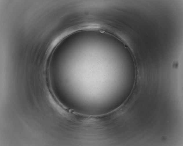 X0000113361475200909221147