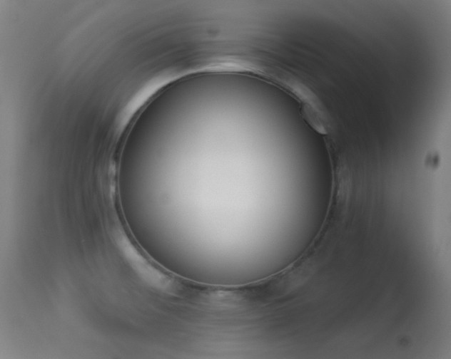 X0000113361476200909221147